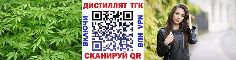 мега вход  Устюжна  ТГК вейп 