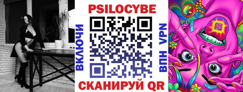 блэк спрут как войти  купить   Устюжна  Псилоцибиновые грибы Psilocybe 